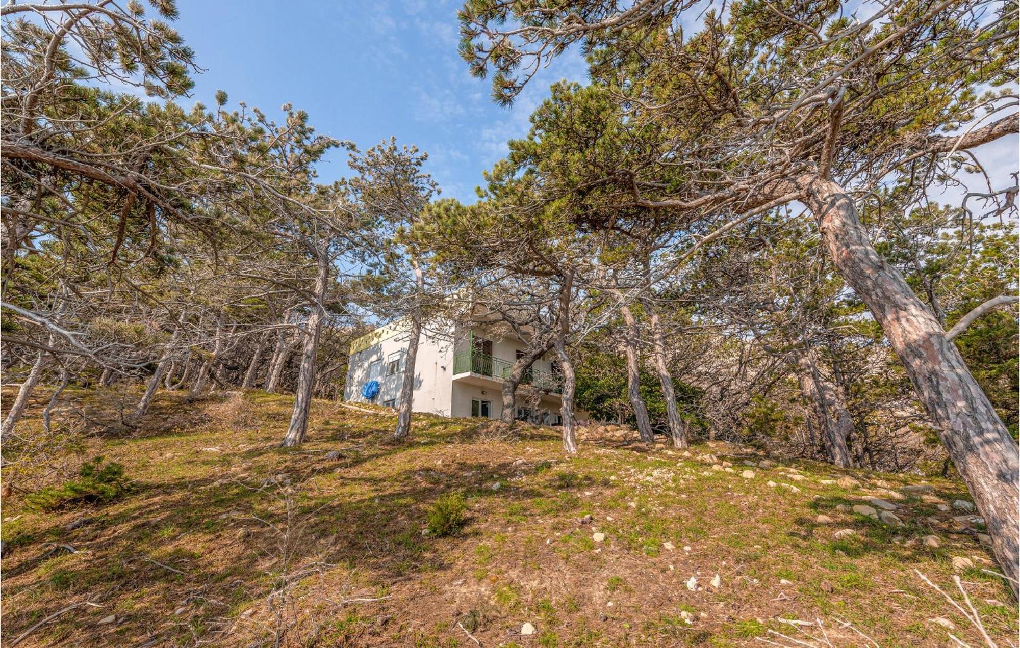 Pet Friendly Apartment In Novalja With Kitchen Esterno foto