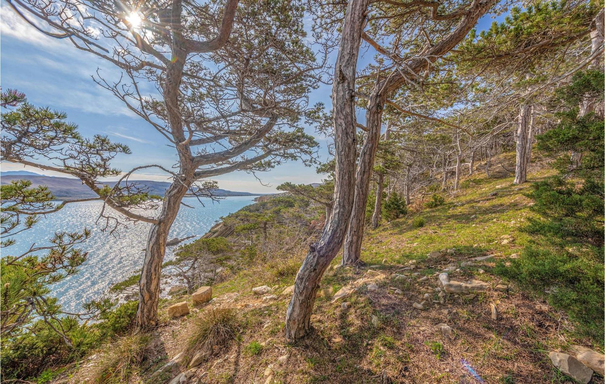Pet Friendly Apartment In Novalja With Kitchen Esterno foto